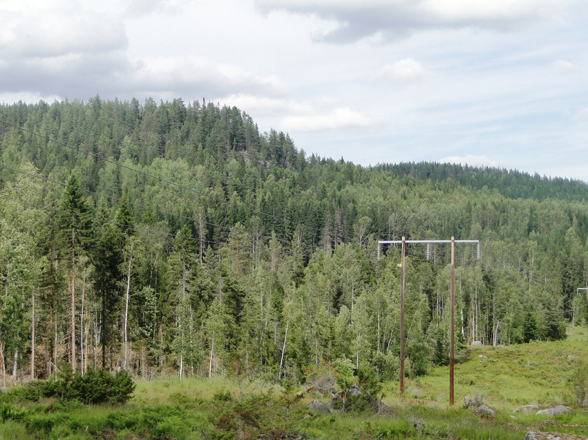 Lövenholtsergets sydsida med tät skog och gråblå himmel. En elledningsgata är dragen nedanför berget.