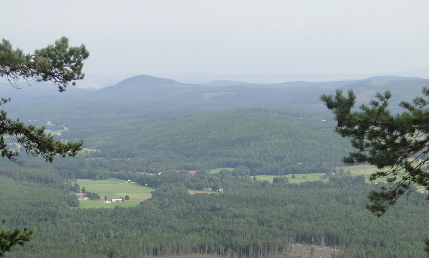 Utsikt över ett skogsområde med några gårdar och höga berg i horisonten.
