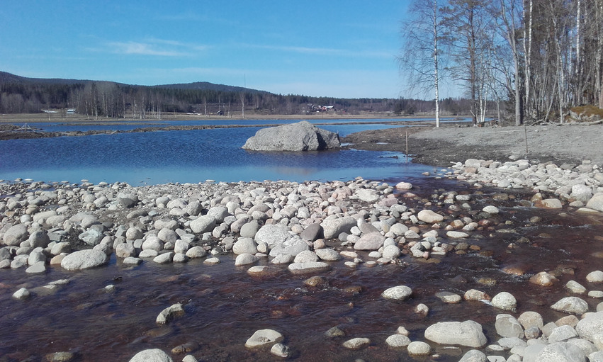 Sjötröskel vid Ängasjön. Stora stenar ligger i vattnet i strandkanten.
