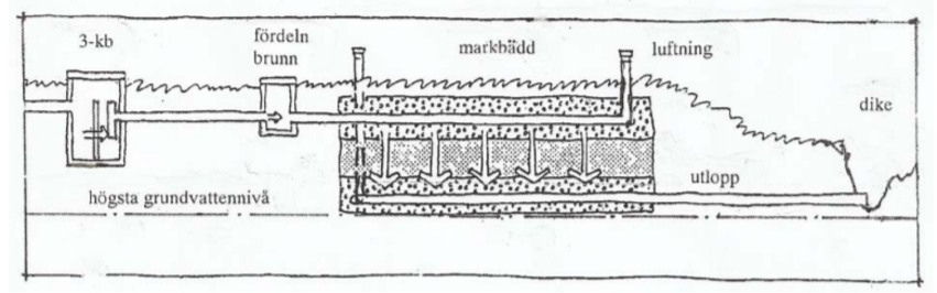 Illustration: Markbädd - bild 1. Bilden visar principen för hur ett avlopp med markbädd fungerar.