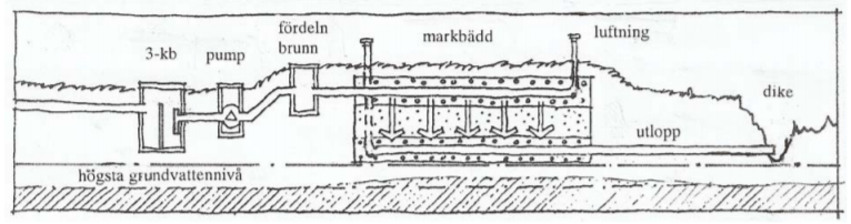 Illustration: Upplyft markbädd - bild 1. Bilden visar principen för hur ett avlopp med upplyft markbädd fungerar.