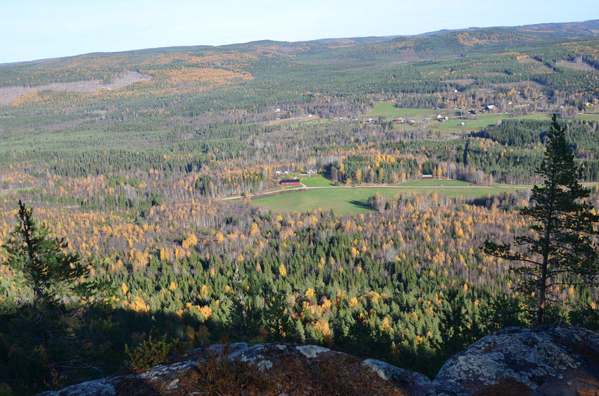 Bild tagen från Brattingberget med översikt över skog, öppna fält och gårdar.