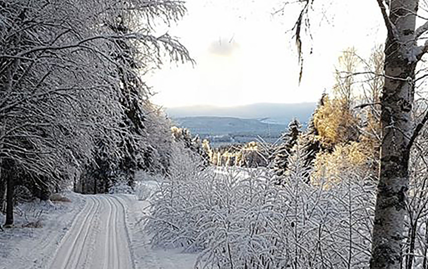 En liten bilväg genom skogen. Trädens grenar hänger över vägen och är täckta med vit snö. I bakgrunden ser man en dal med bebyggelse.
