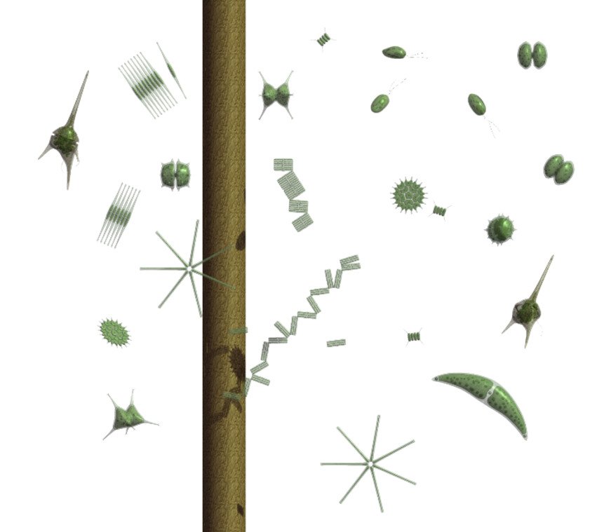 Illustration av hur övergödning kan se ut med små partiklar och grumligt vatten.