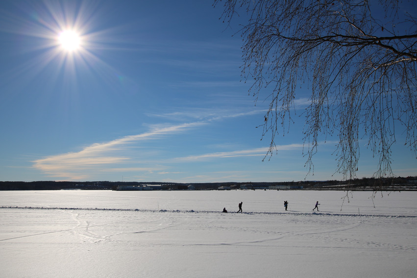 Skidåkare ute på isen en solig vinterdag