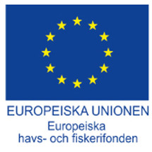 Europeiska-Unoinen---Europeiska-havs--och-fiskerifondens logotyp