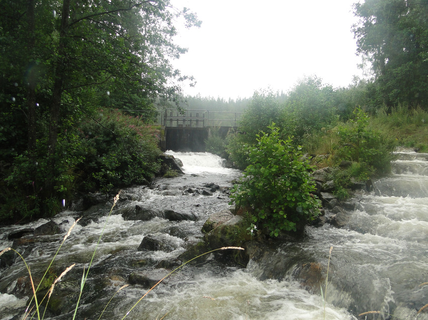Omlöpet med forsande vatten med stora stenar i vid E4:an omgiven av buskar och skog.