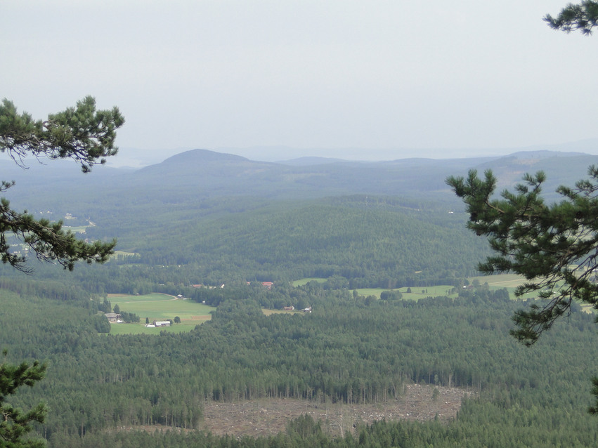 Utsikt från Hornberget På båda sidor sticker träd fram och skymmer utsikten. Nedanför berget finns skog, öppna fält, några gårdar och i horisonten finns blånande berg.