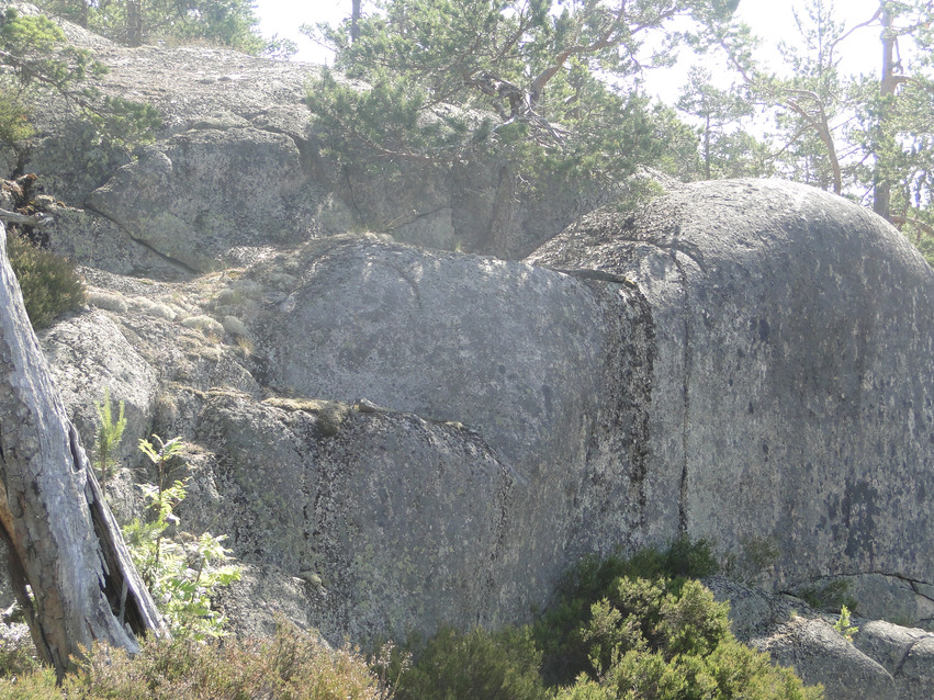Sprickdal genomskär Kärringskårberget som har mycket stora stenar. Mitt bland stenarna växer det träd.