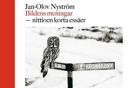 Bild på bokomslag med titel; Jan-Olov Nyström, Bildens meningar.